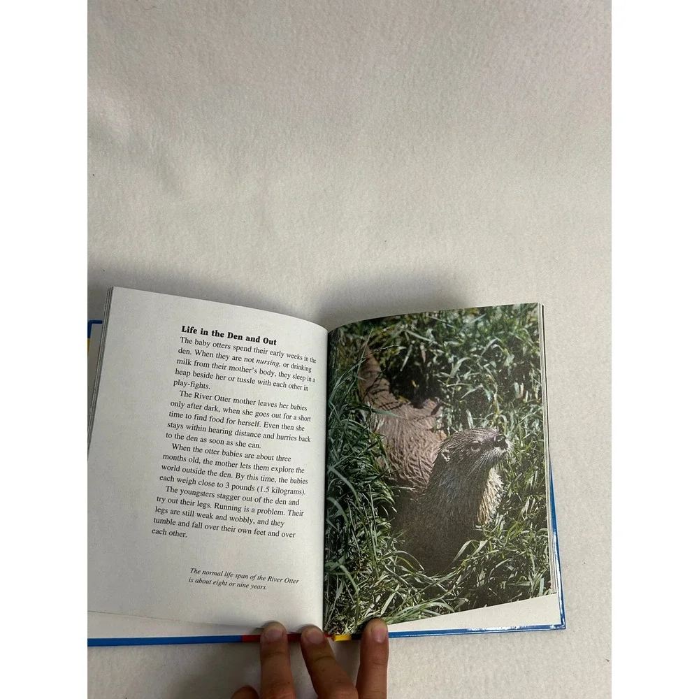 Nature‎ Wildlife Scholastic Childrens Hardcover Blue River Otters Red Fox Book